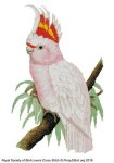 (image for) RSBL Cockatoo Leadbeaters